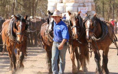 Master horseman with the world and million-dollar team at his feet