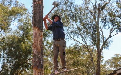 Nimbleness of barefoot axemen and their bush skills amaze at Good Old Days Festival