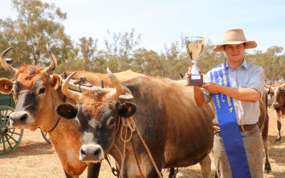 Talented young bullock driver and bush poet honoured with Tim Peel Cup