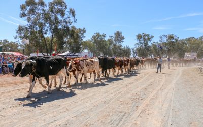 Australian records to fall again as sights not seen in a century hit Barellan