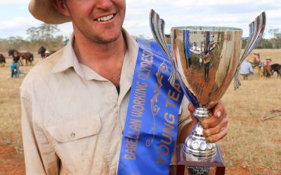 Darcy steps up to Australian record bullock team and wins coveted Tim Peel Cup