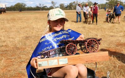 Glen the goat gives young cameleer the edge in Little Teamsters win