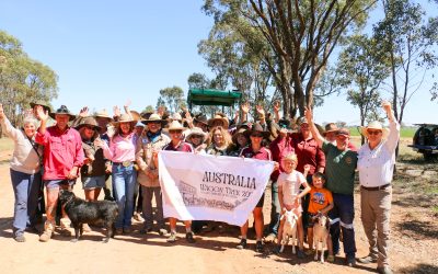 Visiting US camel experts blown away by industrial scale of Australian industry